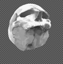 1080x1104