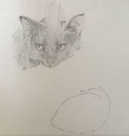 949x1003