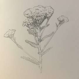 1059x1059