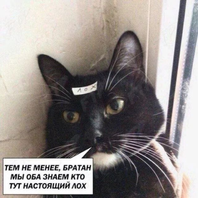 640x640