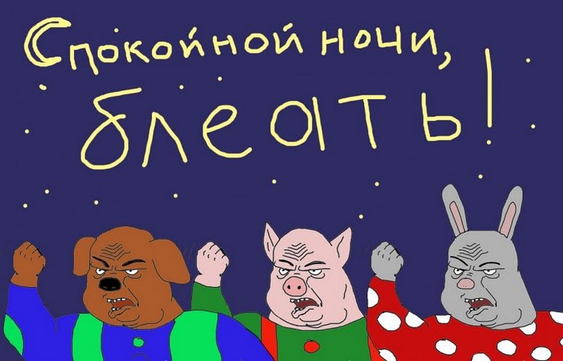 800x513