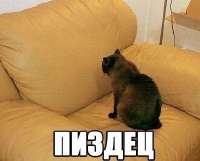 436x352
