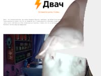 640x480