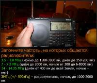 800x685