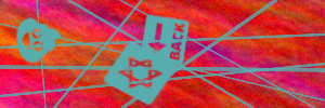 300x100