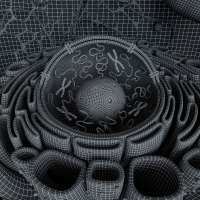 1200x1200