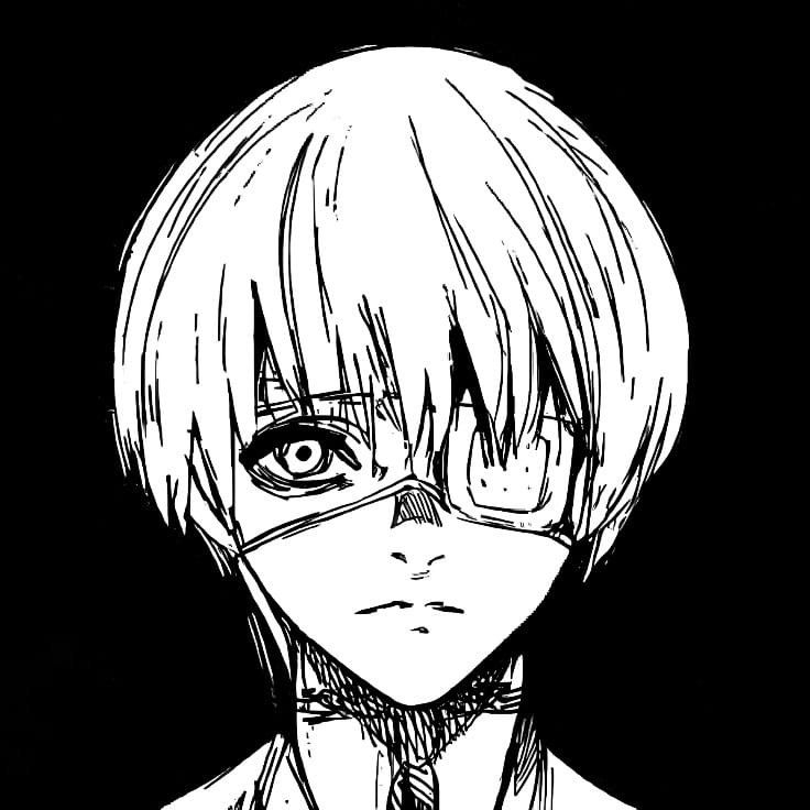 736x736