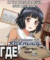 506x600