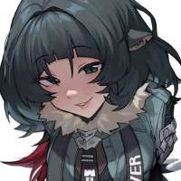 736x736