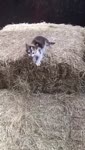 360x634