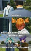 490x800