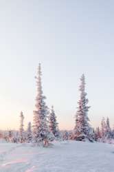 4000x6000