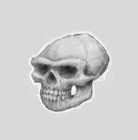 1262x1280
