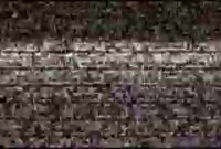 320x216