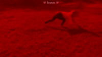 460x258