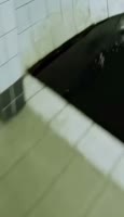828x1428