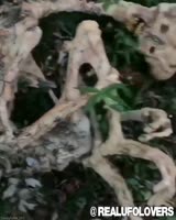 720x900