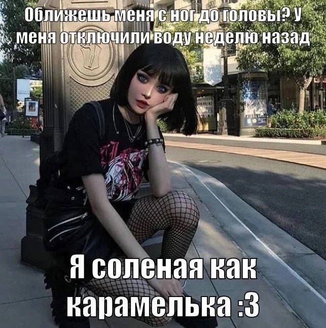 643x646