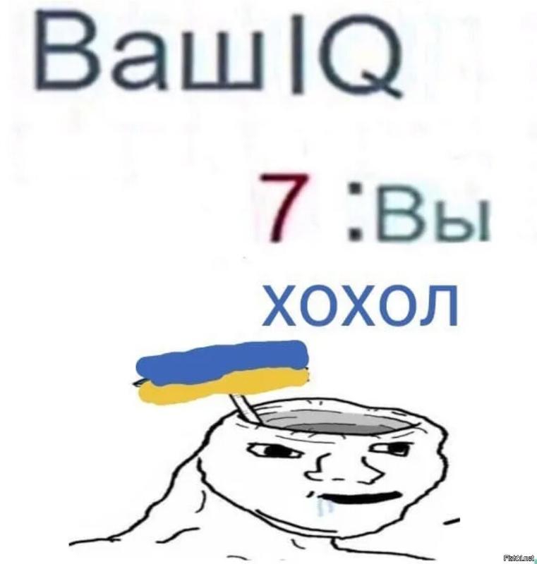 761x800