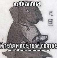 540x545