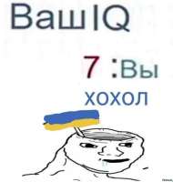 761x800