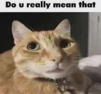 828x777