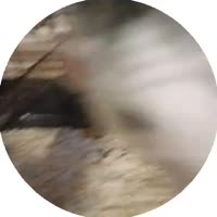 384x384