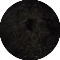 360x360