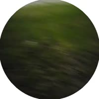384x384