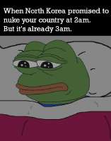 576x732