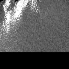 800x800
