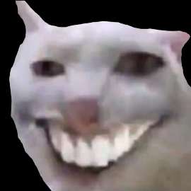 500x500