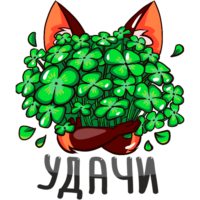 LRvVsgOH.жипег