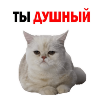 3lnwABCV.жипег