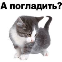3tcwLcTb.жипег