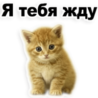 64OAdzEU.жипег