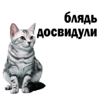 6C7oYHEp.жипег
