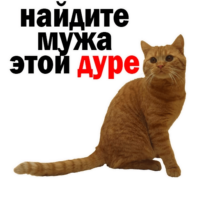 6jwTOn7j.жипег