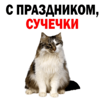 CNktOfJP.жипег