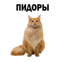 E40GdNLQ.жипег