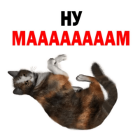 KEkA2hWQ.жипег