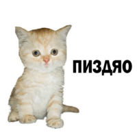 RNSFSMry.жипег