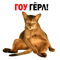 YjUFFCx6.жипег