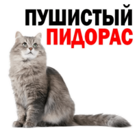 512x512