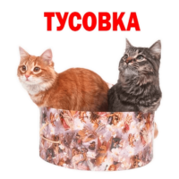 dXr9mCMH.жипег