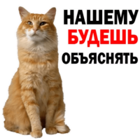 rOXWSKIU.жипег