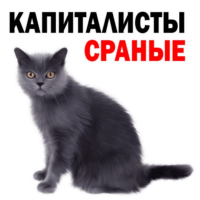 vngu5PcN.жипег