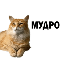 wgEavAmu.жипег