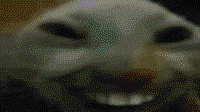 228x128
