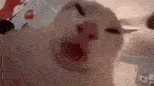 154x86